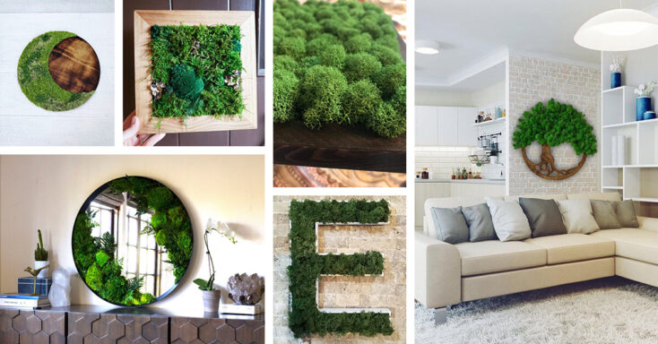 Featured image for 29 Irresistibly Amazing Moss Wall Art Ideas for Your Living Space