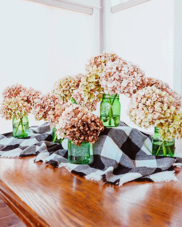 Large and Dry Blooming Hydrangeas