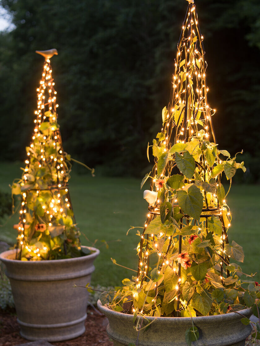 deslumbrante e brilhante treliça de jardim com luzes