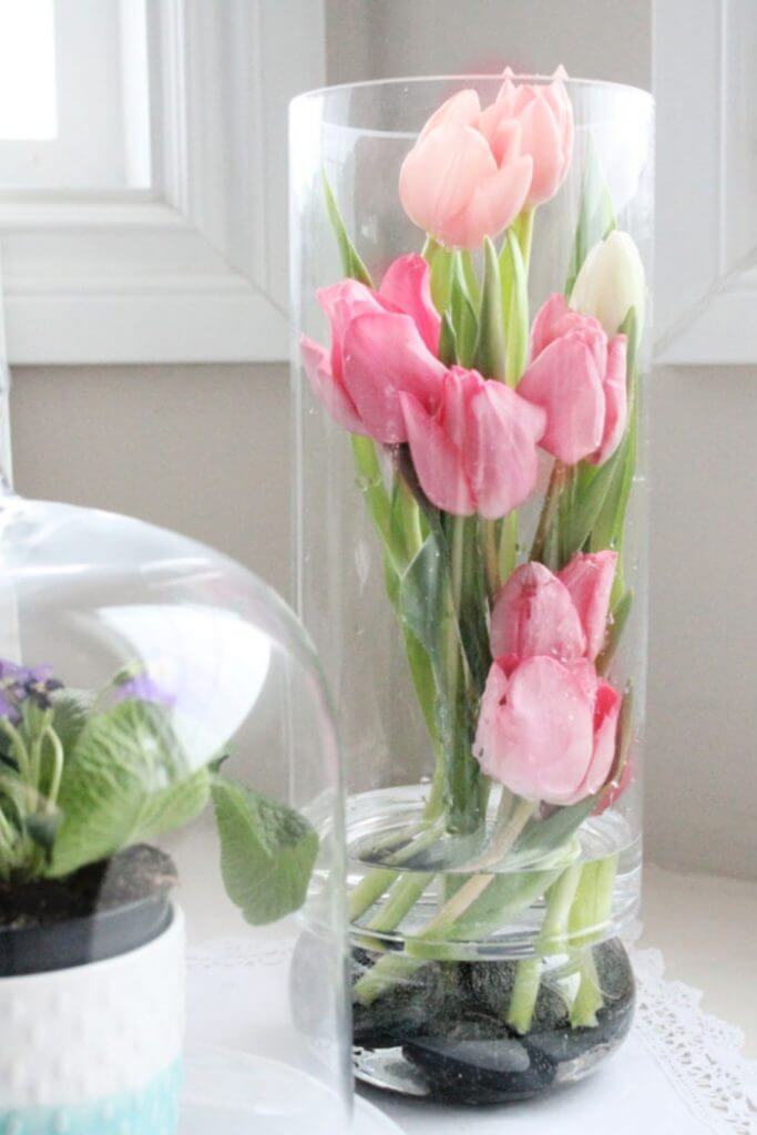 Modern Styled Tulips within a Tall Vase