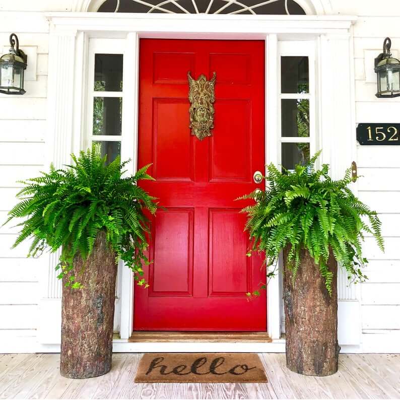 40 Best Front Door Flower Pots Ideas, Outdoor Plants For Front Door