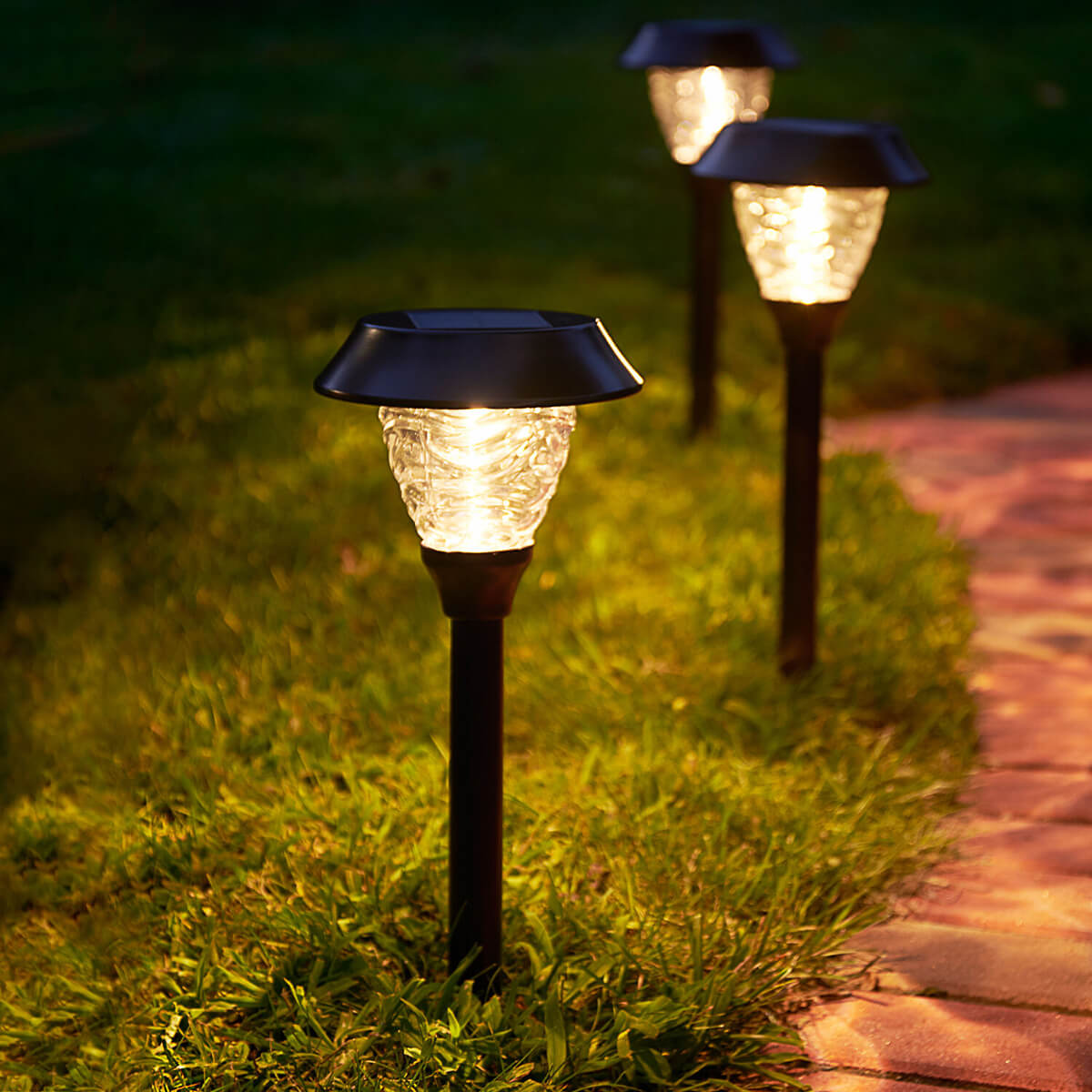 Light Your Way with Staked Solar Lights