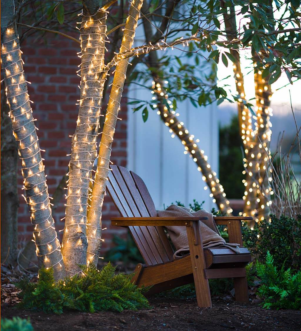 Tropical Trees Trimmed with Twinkling Lights