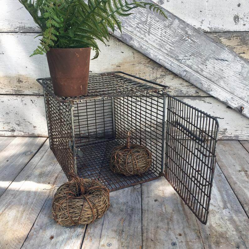 Great Wire Plant Display with Upcycled Animal Cage