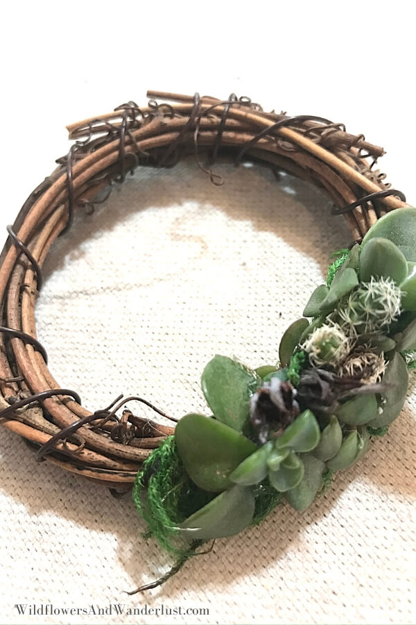 Boho Style Succulent Grapevine krans