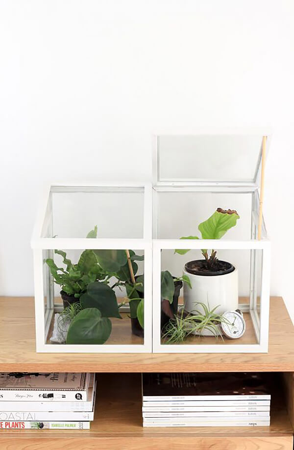 Miniature Decorative Indoor Greenhouse Plant Home