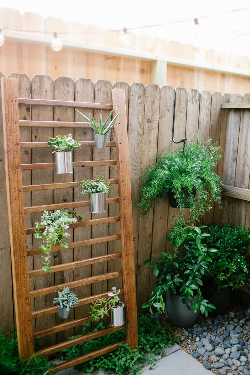 Outdoor Garden Succulent Ladder Plant Idea