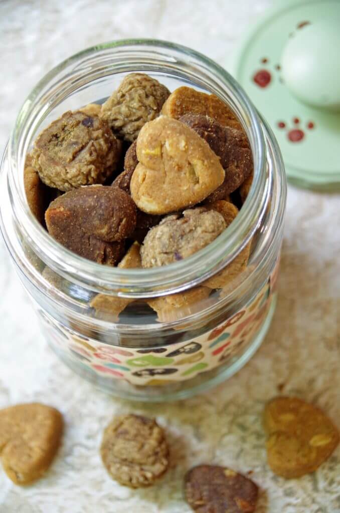 Upcycled Dog Treat Holder or Jar