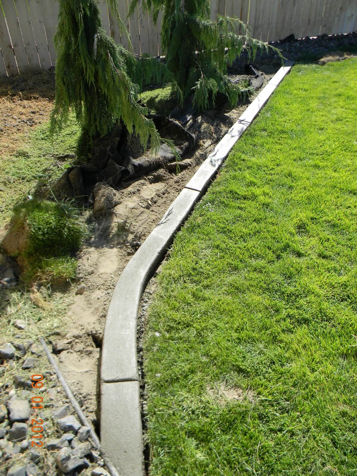 Slithering Through the Garden Concrete Edging