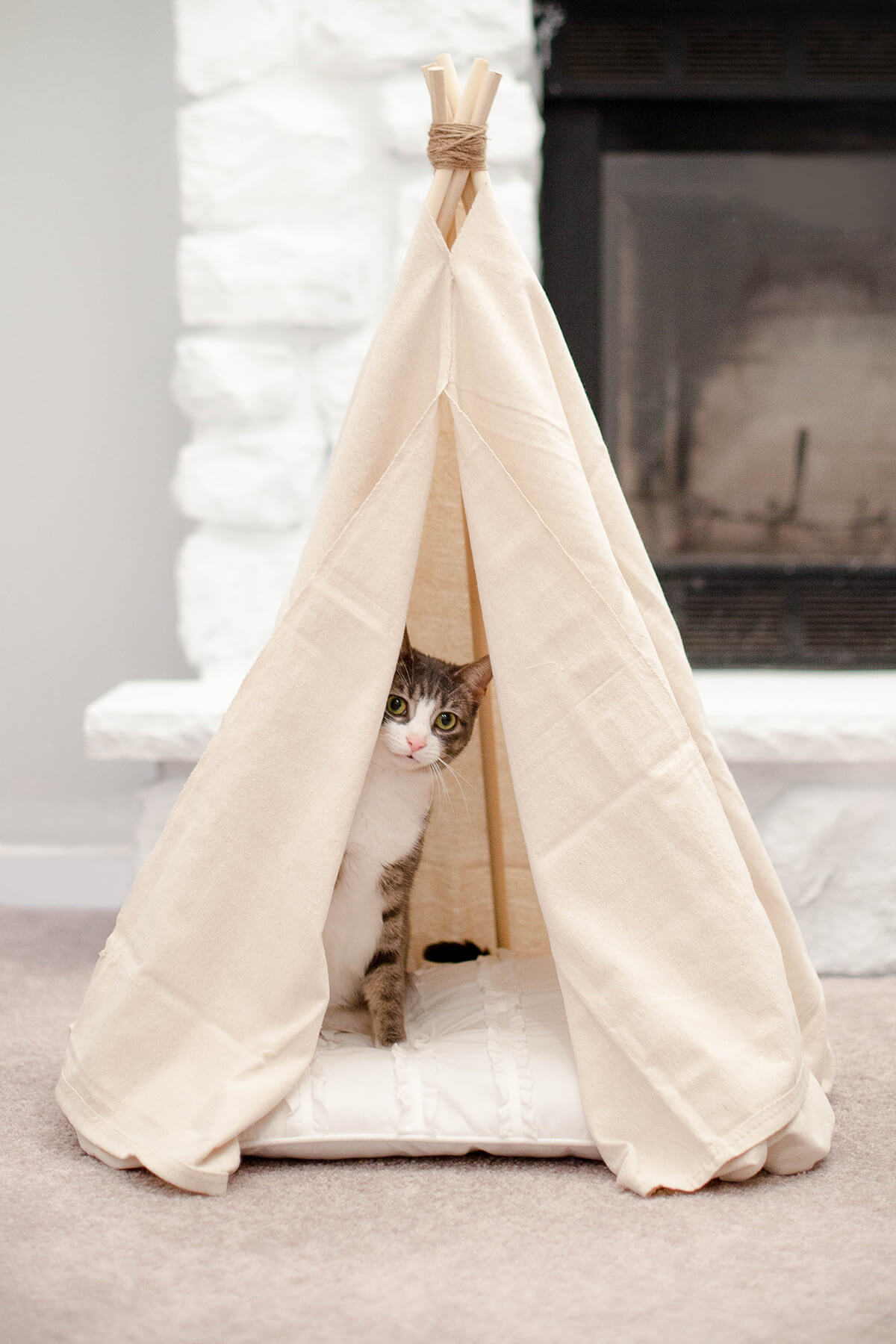 DIY Pet Projects Cat Teepee