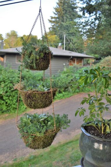 73 Best Outdoor Hanging Planter Ideas and Designs