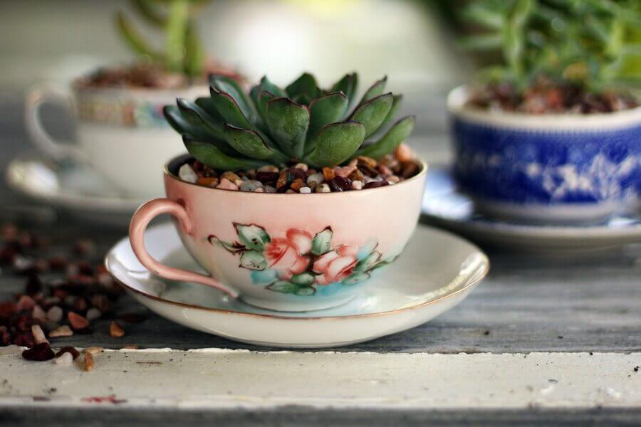 Old World Succulent and Pebbles Teacup Set
