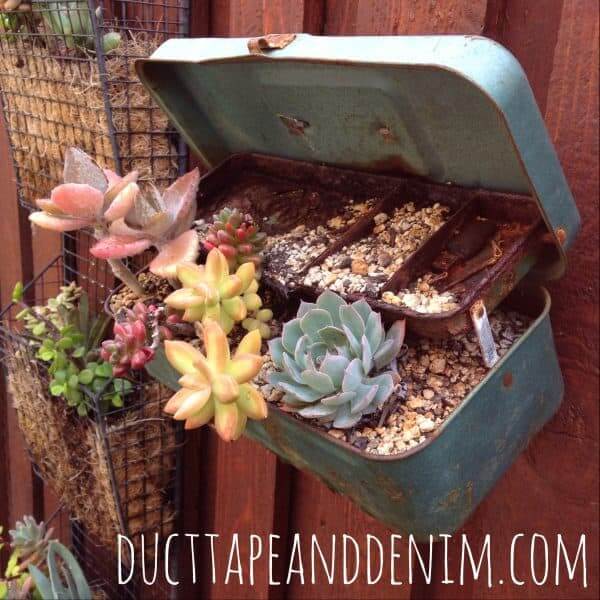 Reclaimed Tackle Box as a Succulent Planter