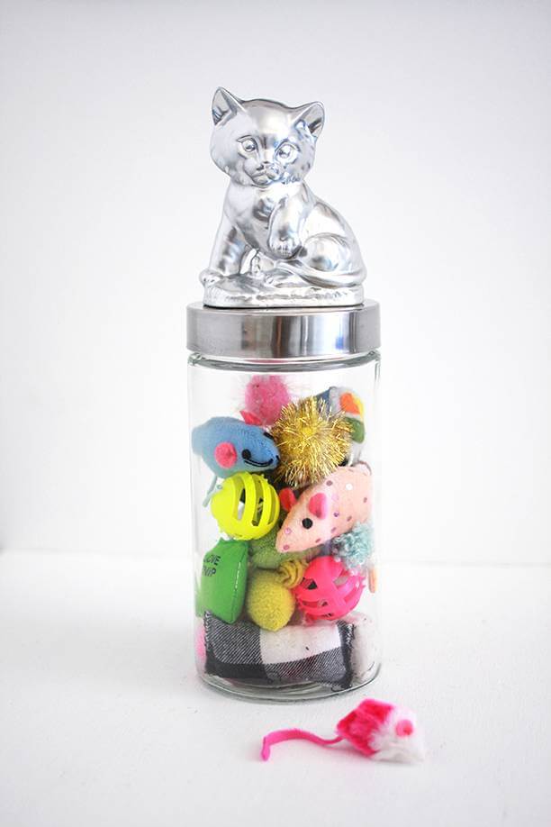 DIY Pet Toy Upcycled Jar