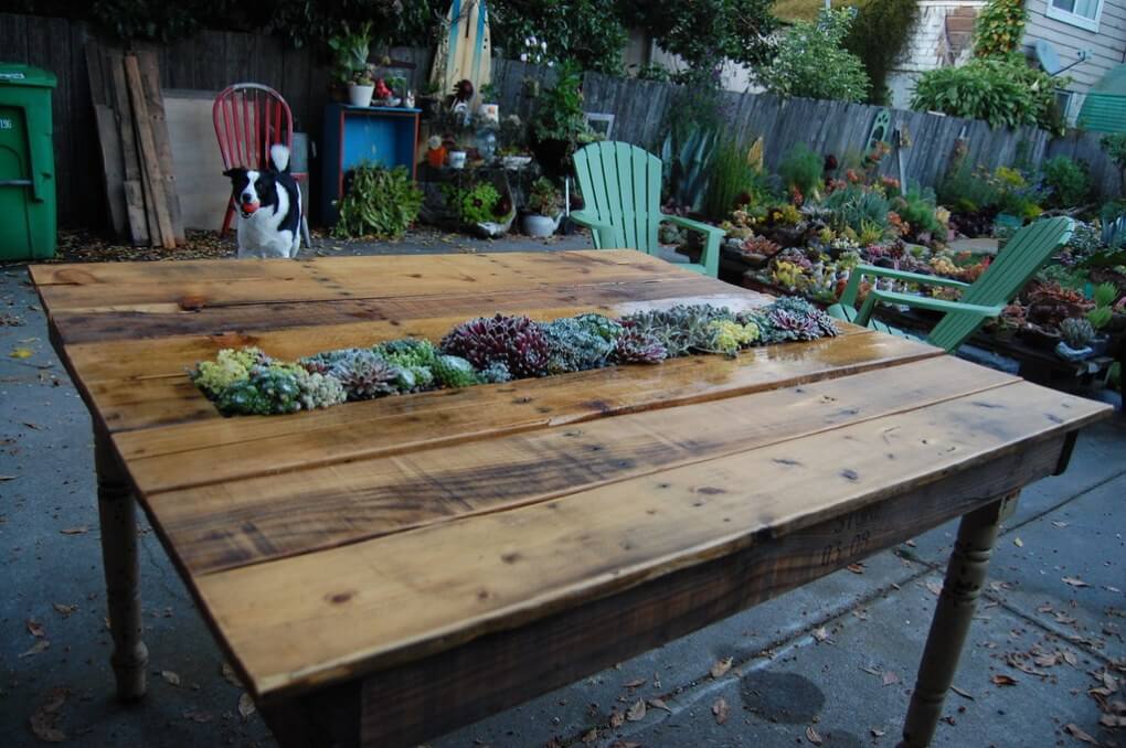 Stunning Pallet Table with Succulent Holder