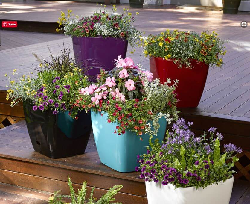 Pops of Color: Overflowing Planters