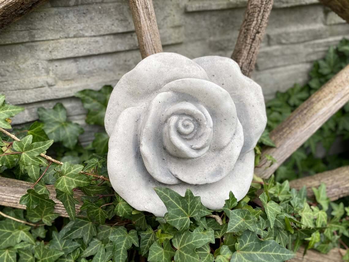 Beautiful Budding Concrete Rose Blossom