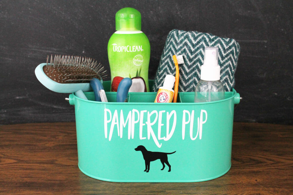 Grooming Kit for the Pampered Pup