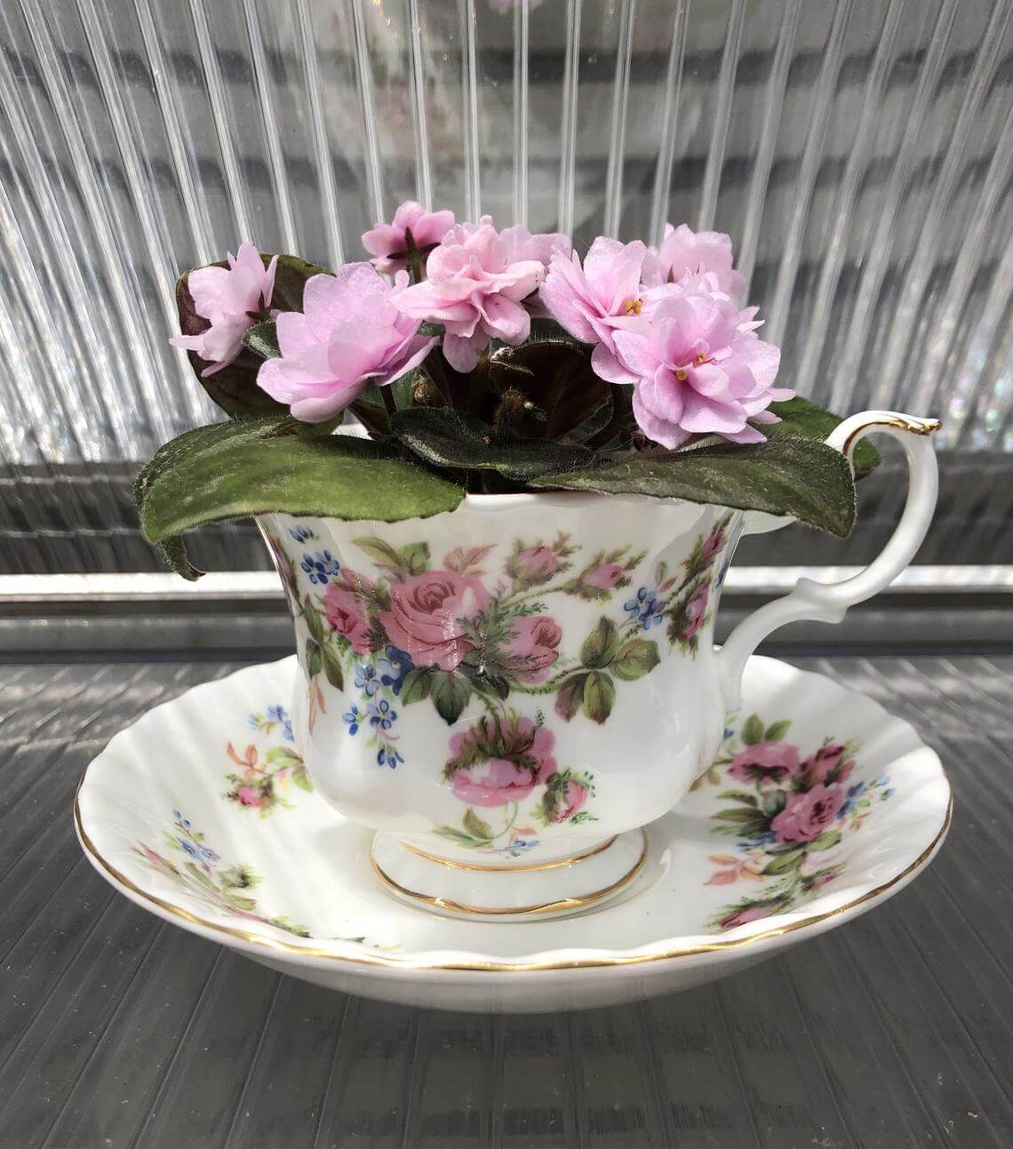 Vintage Victorian Teacup Planter Gift Idea