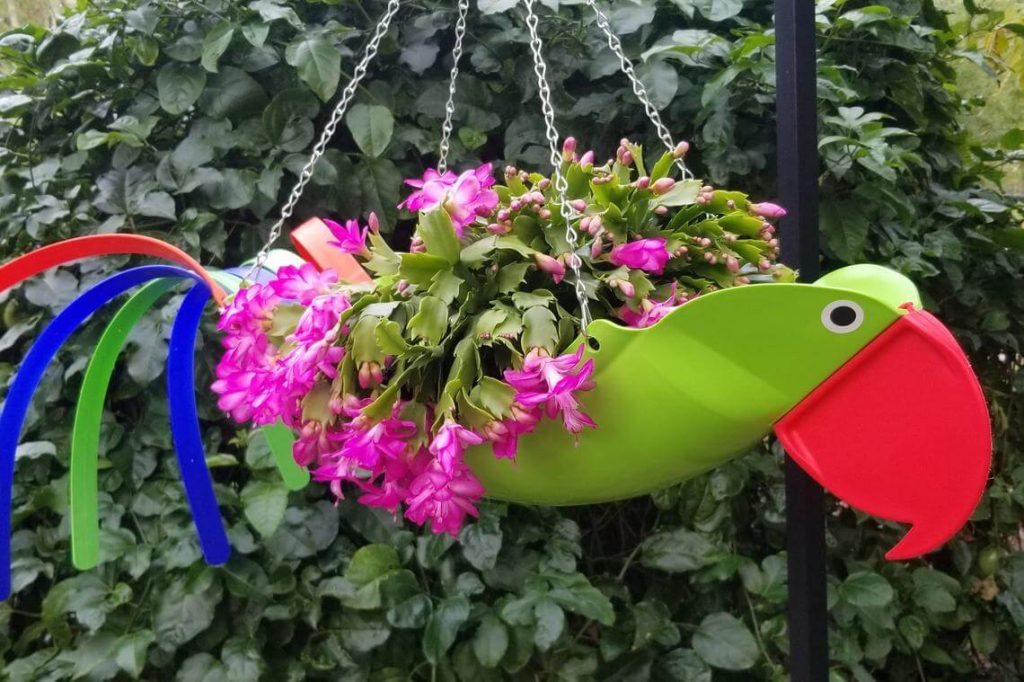 Colorful Tropical Toucan Hanging Planter