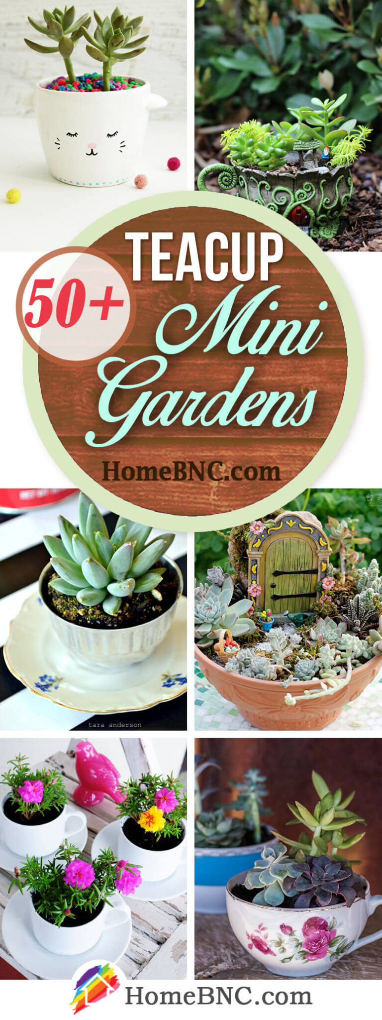 50+ Best Teacup Mini Garden Ideas and Designs for 2021