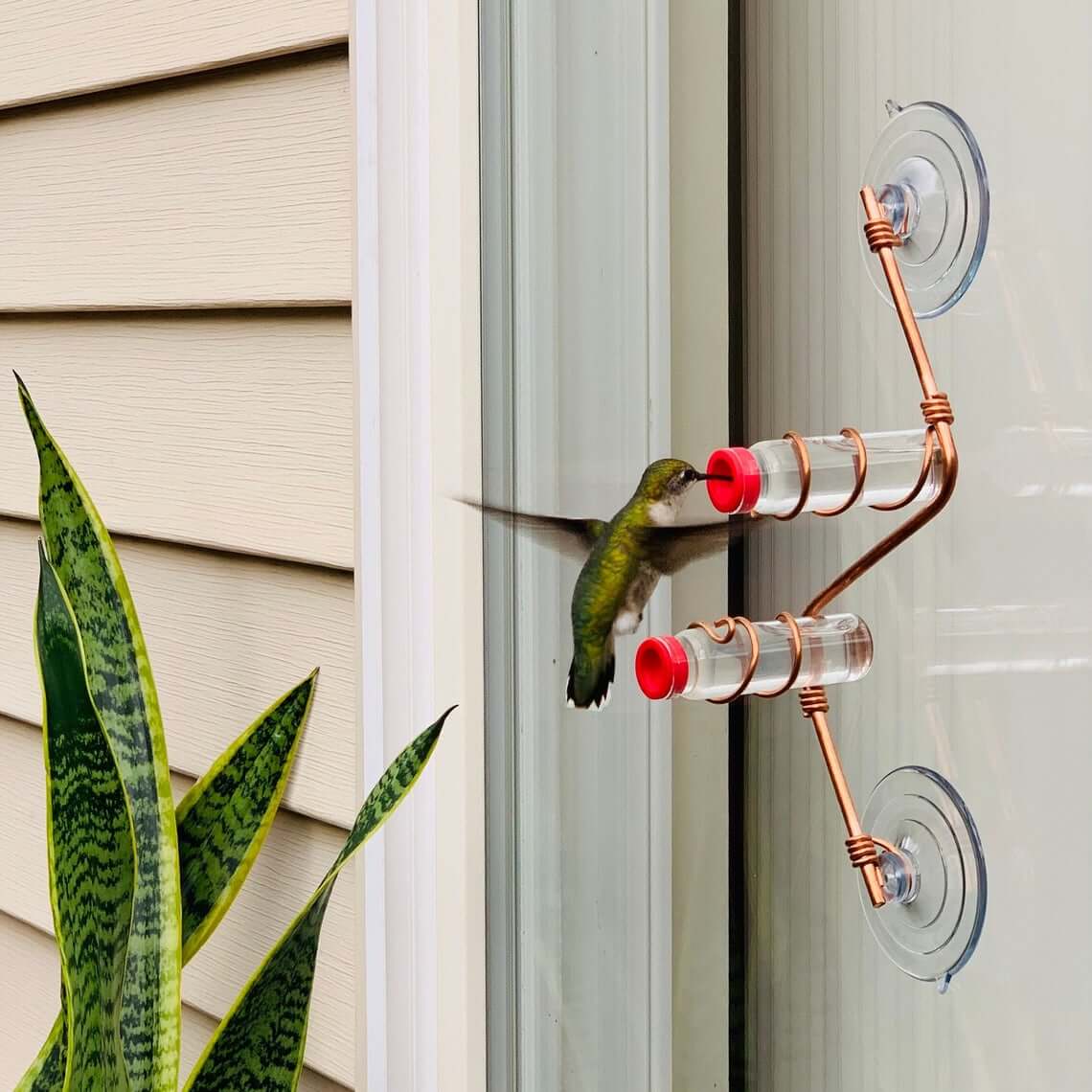 Copper Wire and Suction Cup Hummingbird Feeder