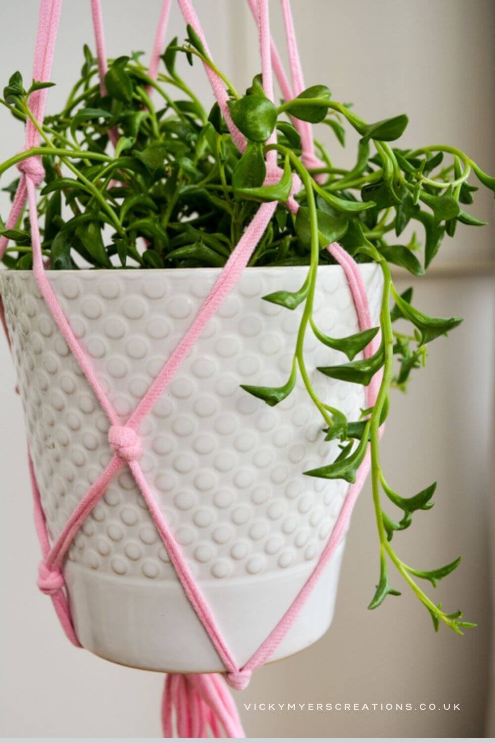 Pretty in Pink Macrame Plant Hanger