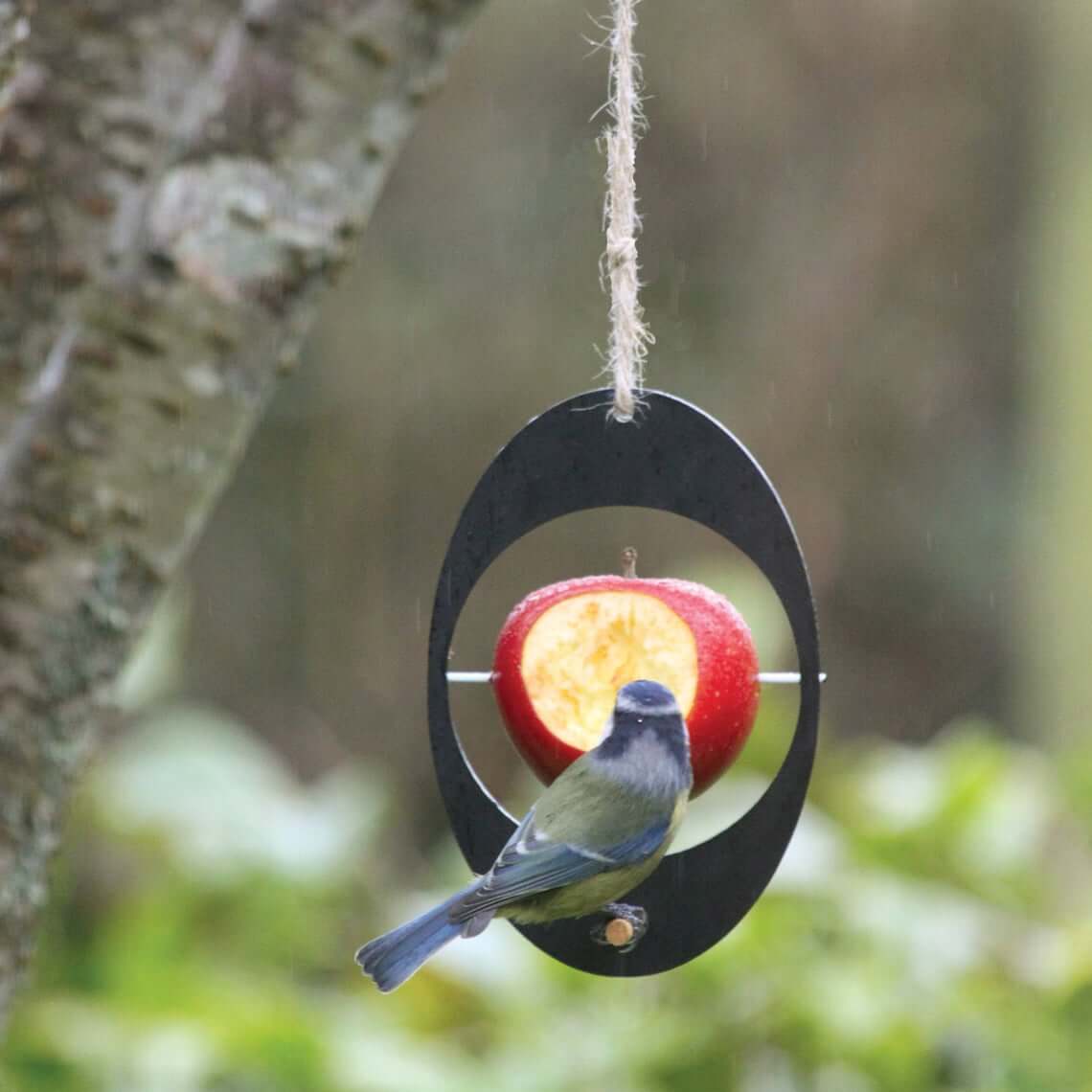 interesting bird feeder