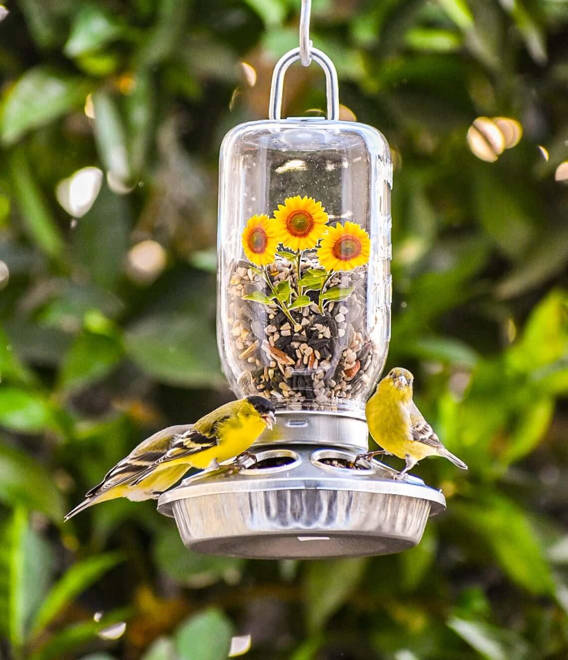 Chicken Feeder & Mason Jar Farmhouse Bird Feeder