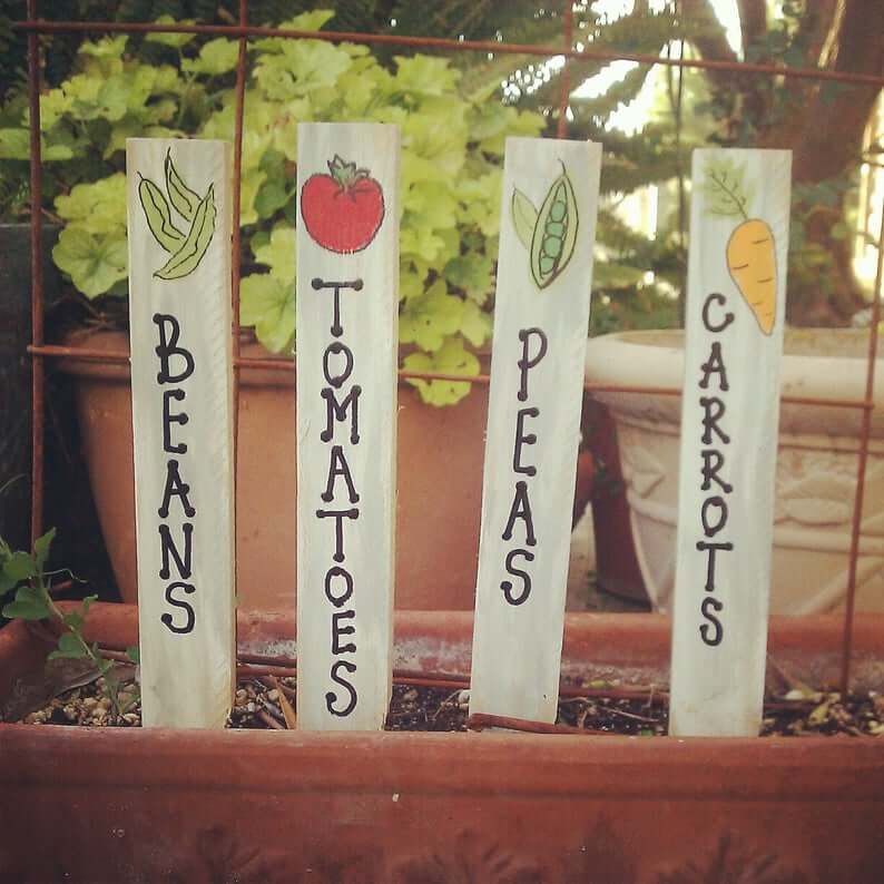 Charming Hand-Painted Vegetable Markers with Pictures