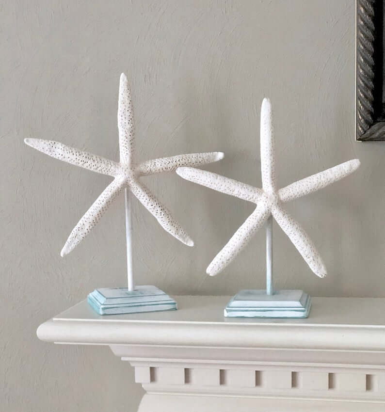 cornice di stelle marine  Diy beach decor, Coastal decor, Decor