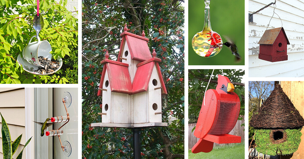 18 Best Unique Bird Feeders And Houses For 2022 - What Is The Best Color To Paint A Birdhouse Attract Birds