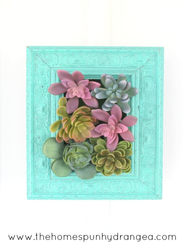 Succulents Peaking Around an Old Picture Frame