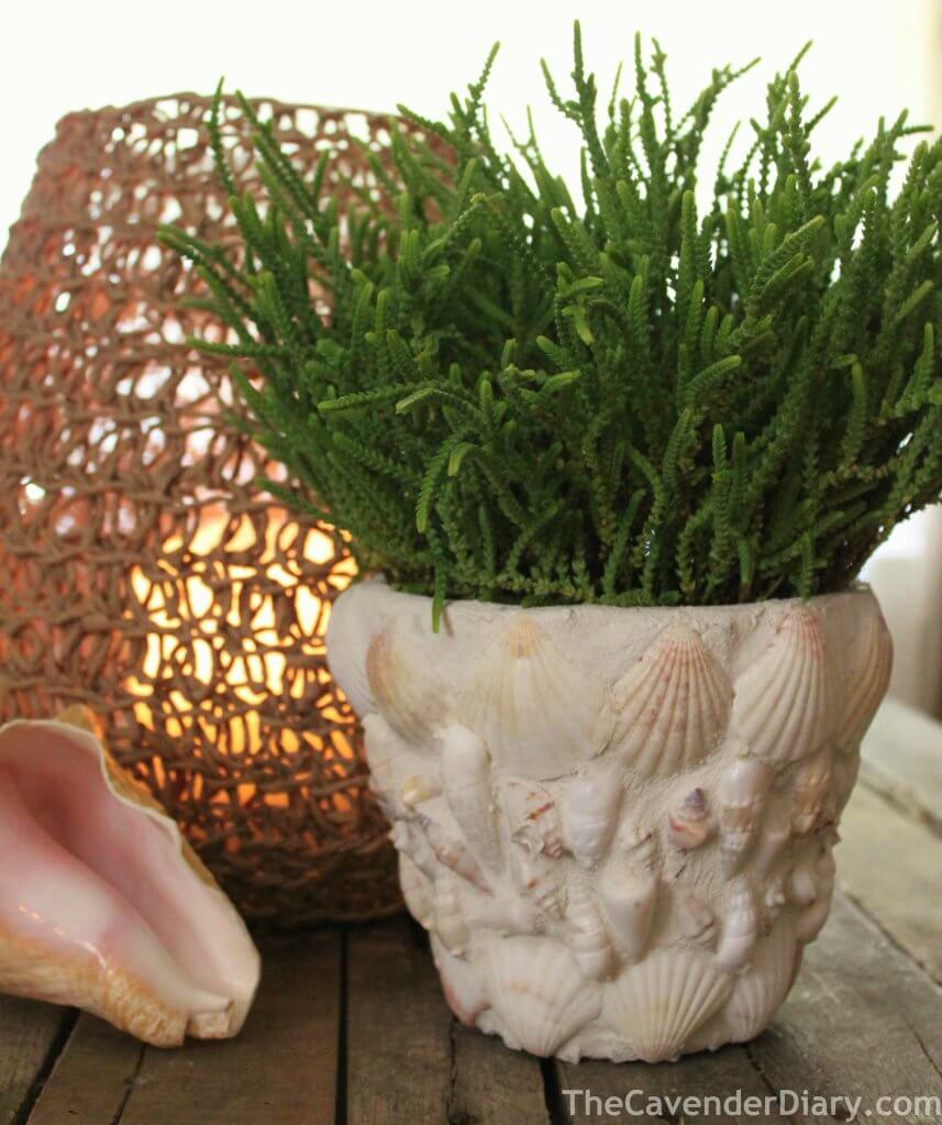 Seashell Pots & Planters, Shell & Planter Craft Ideas