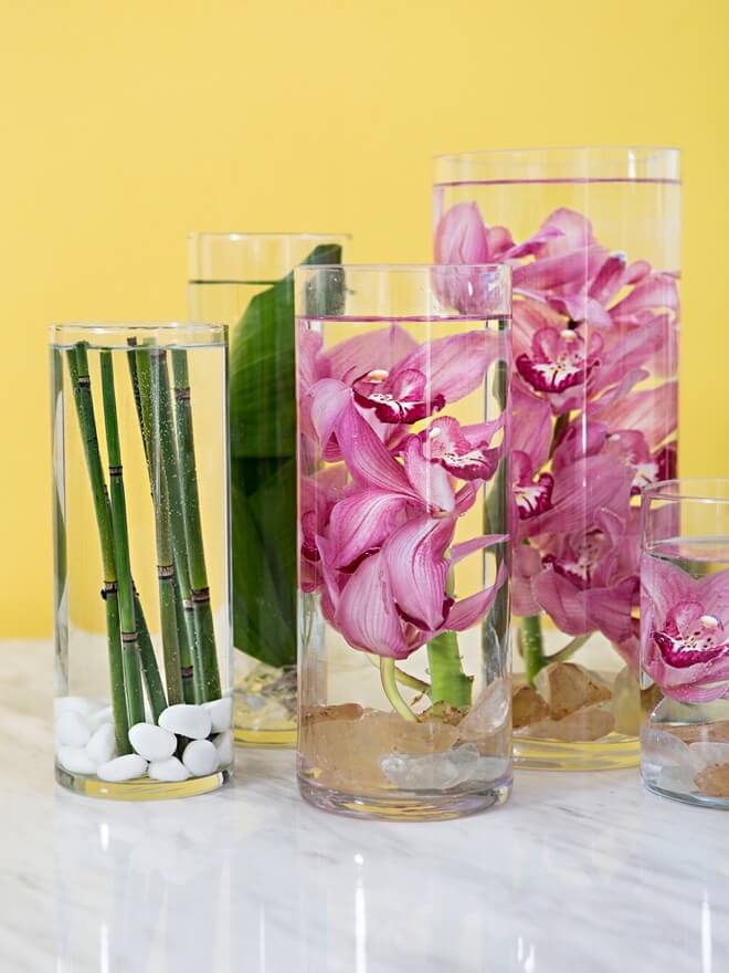 Elegant, Tropical Orchids Submerged in Water