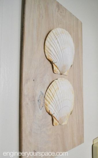 Split Clam Shell Wood Wall Art