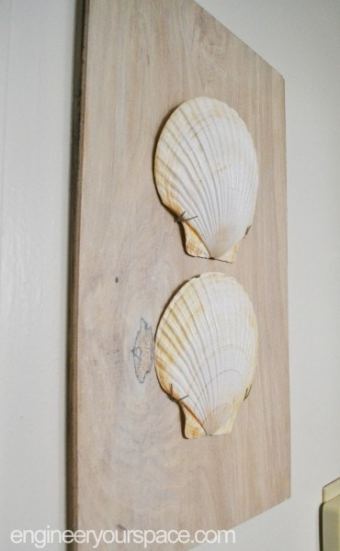 35 Best Diy Shell Projects Ideas And Designs For 2021