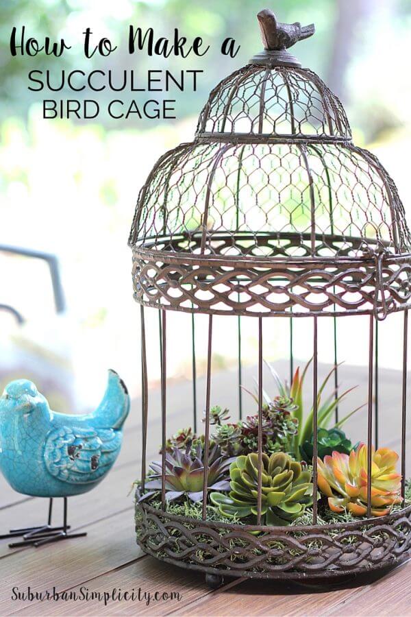 Create Your Own Birdcage of Succulents