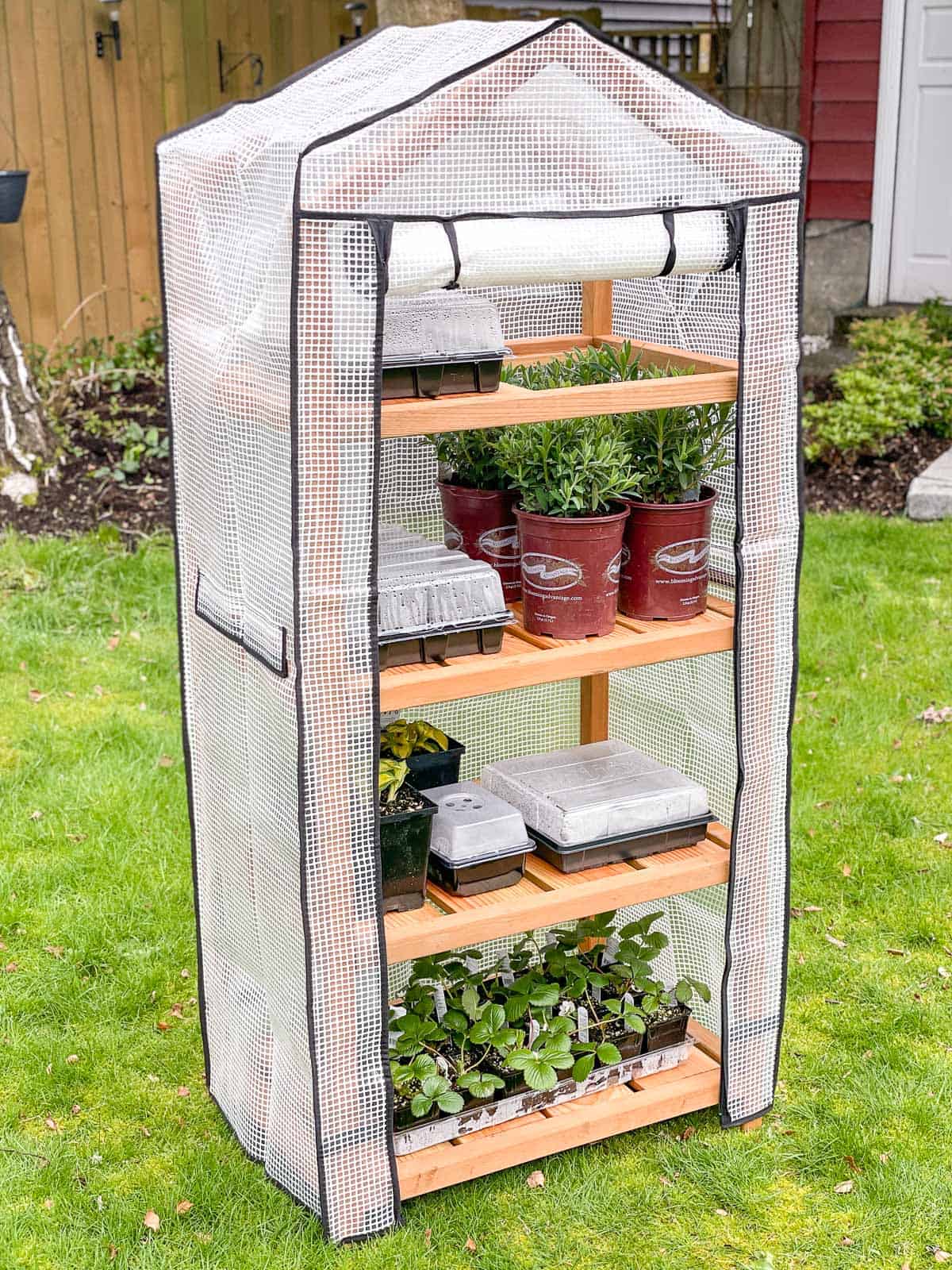 Pop Up Portable and Adjustable Greenhouse