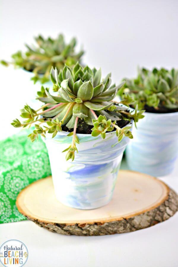 Summer Swirled Succulent Mini Planter DIY Project