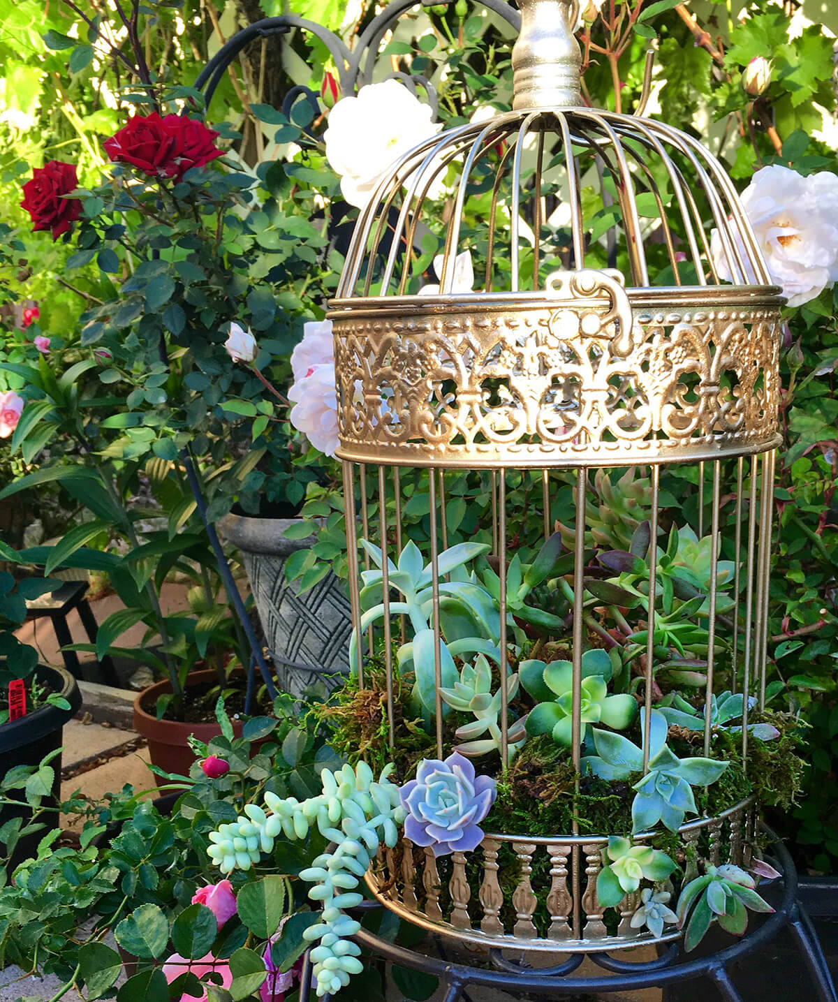 Using Bird Cages For Decor: 46 Beautiful Ideas, DigsDigs