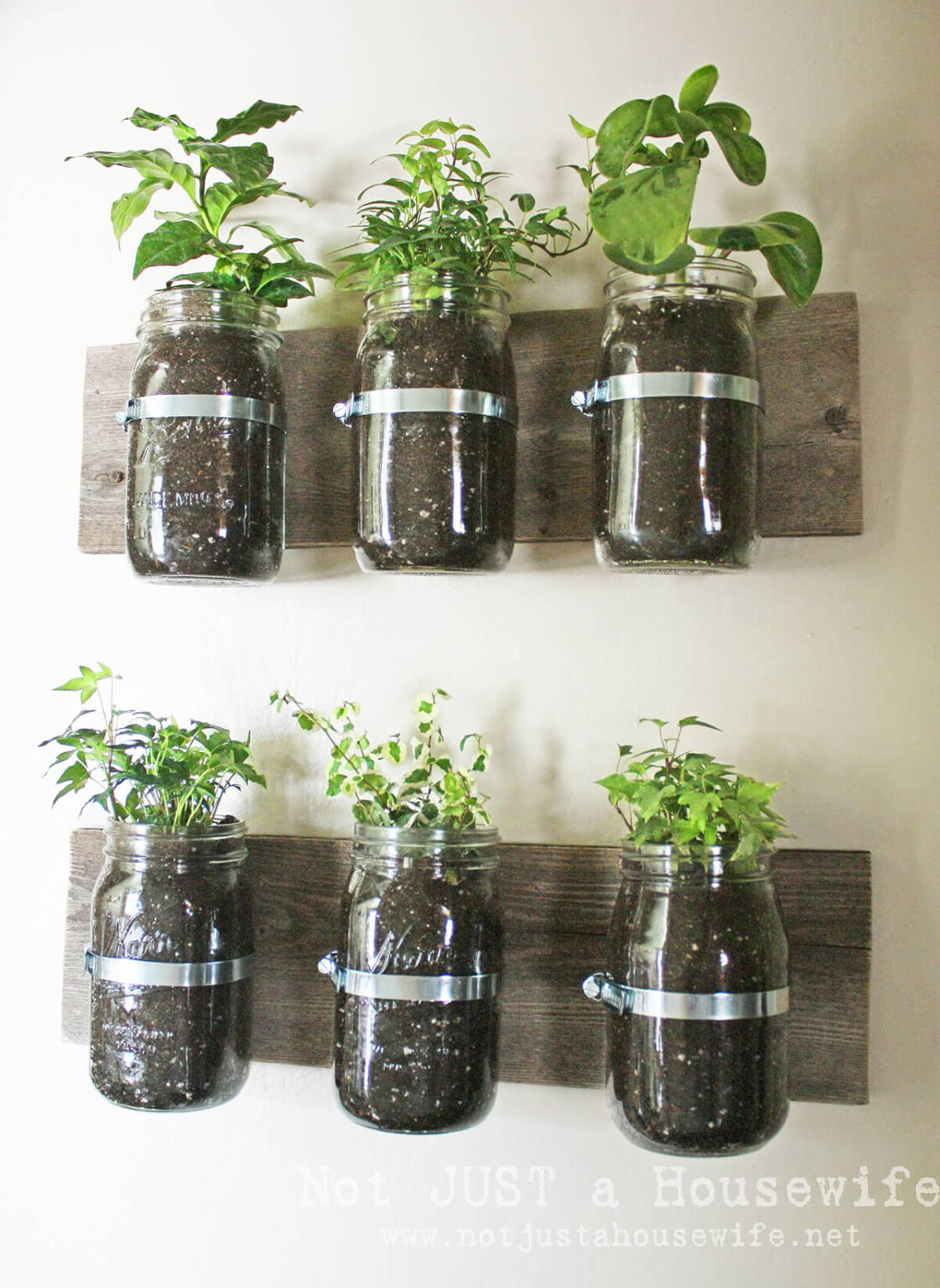 45 Best Mason Jar Wall Decor Ideas And Designs For 2024 5991