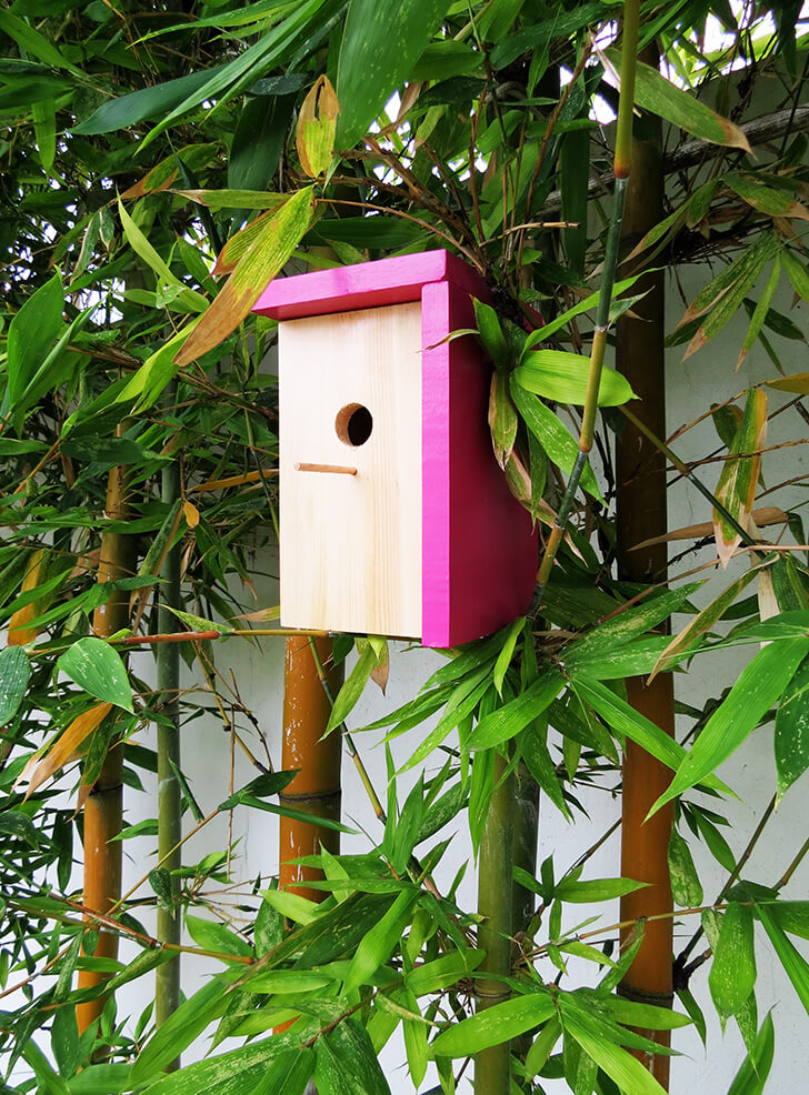 Modern Fuchsia and Natural Wood DIY Birdhouse