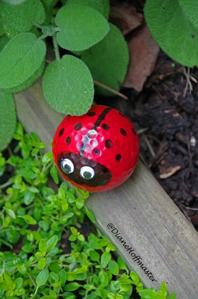 Goofy and Googly-eyed Golf Ball Ladybug Garden Friend