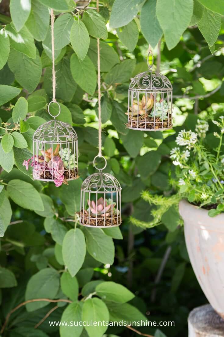 Miniature White Succulent Birdcage Hanging Ornaments