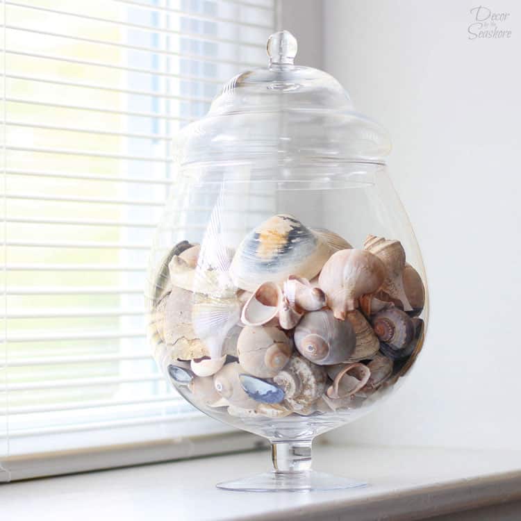 Decorative Seashells Jar ideal for decorating crafting display window dressing 
