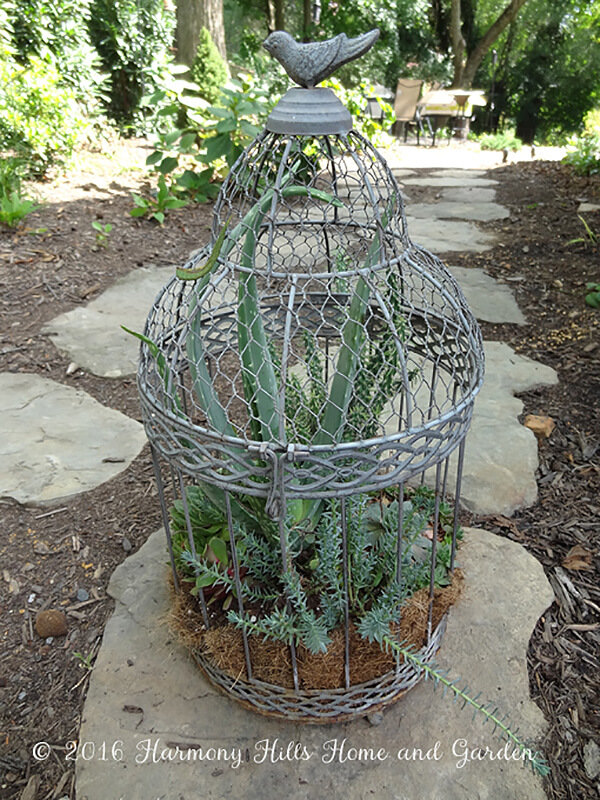 Large and Lively Metal Birdcage Garden Decoration