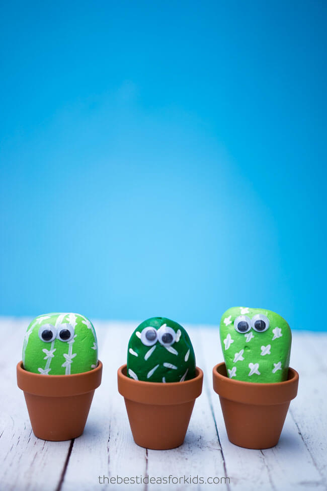 Anybody Can Grow Rock Cacti