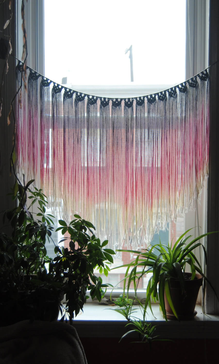 Colorful Hanging Threads and Plants