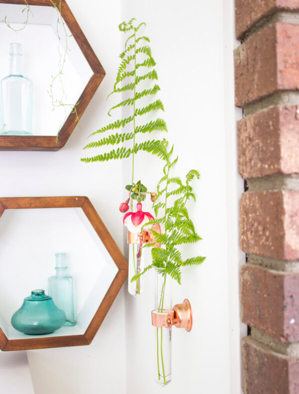 Transparent Tube Planters for Effortless Cool